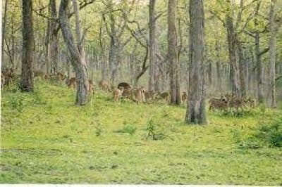 Wildlife Sanctuaries