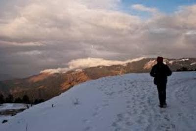 3 Night Auli